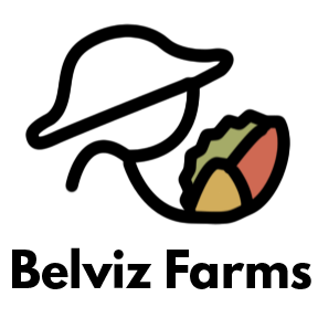 Logo for Emmanuel Belviz